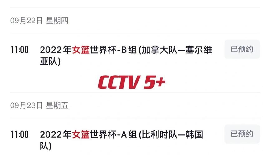 世界杯直播入口分析与对比指南